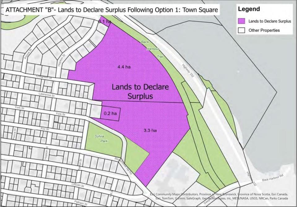 A map shows the lands Town of Lunenburg could declare surplus on Blockhouse Hill through the highest-density option that would build 368 units.