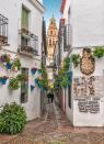 Located in the Andalusian city of Cordoba, Calleja de las Flores is a narrow street that runs right into a plaza. With its many flowers and white-washed walls, the charming Spanish street is very typical of the region.