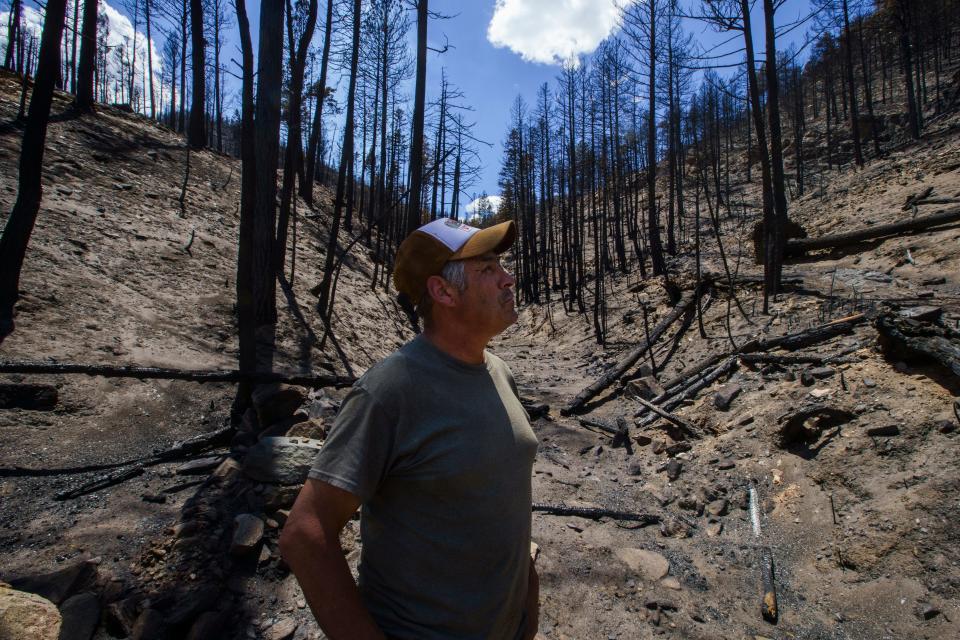 Patrick Griego stands in what was a creek bed in the burn area on his property. Nadav Soroker/Searchlight New Mexico