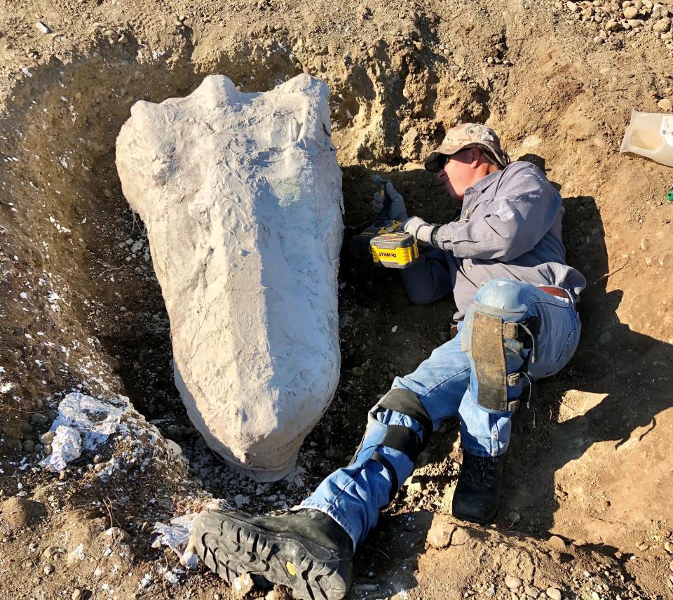 california fossils