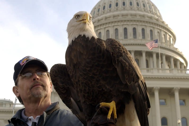 Challenger, a 14-year-old bald eagle, visits the U.S. Capitol with his handler Al Cecere on December 9, 2003 to mark the 30th anniversary of the Endangered Species Act. File Photo by Michael Kleinfeld/UPI