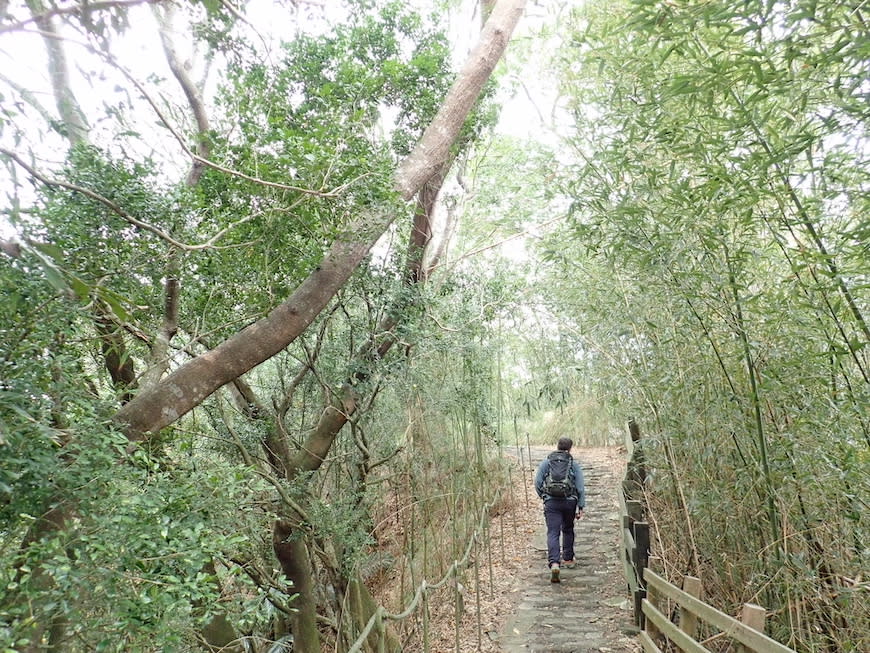 新竹十二寮登山步道