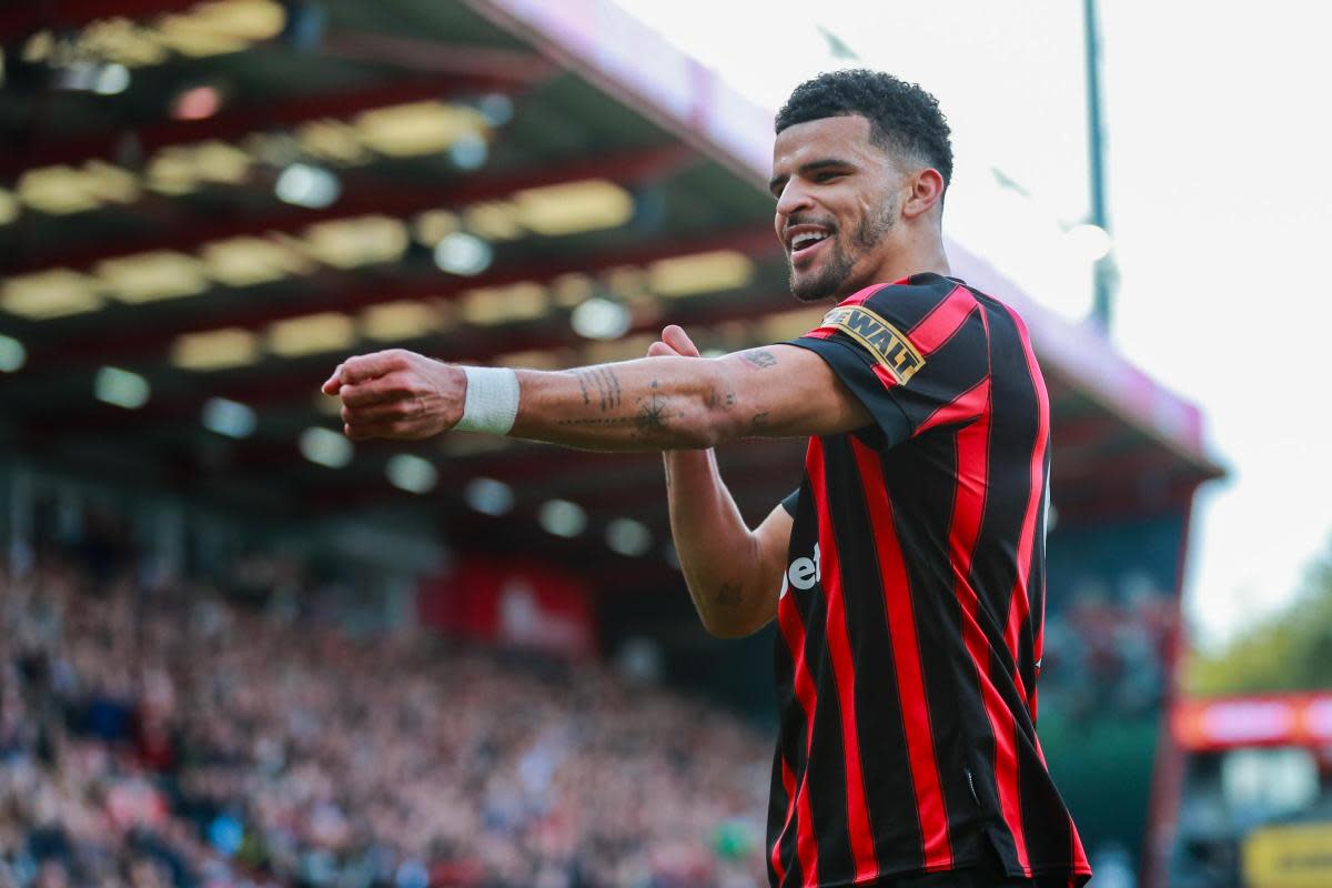 Dominic Solanke is your Micky Cave/Daily Echo AFC Bournemouth player of the year <i>(Image: Richard Crease)</i>