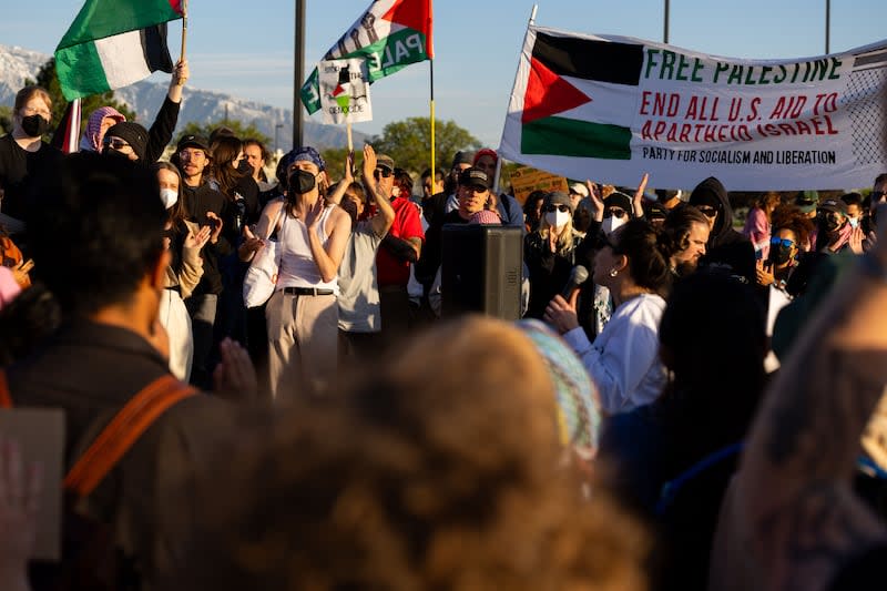 Pro Palestine Rally_MN_03 .JPG