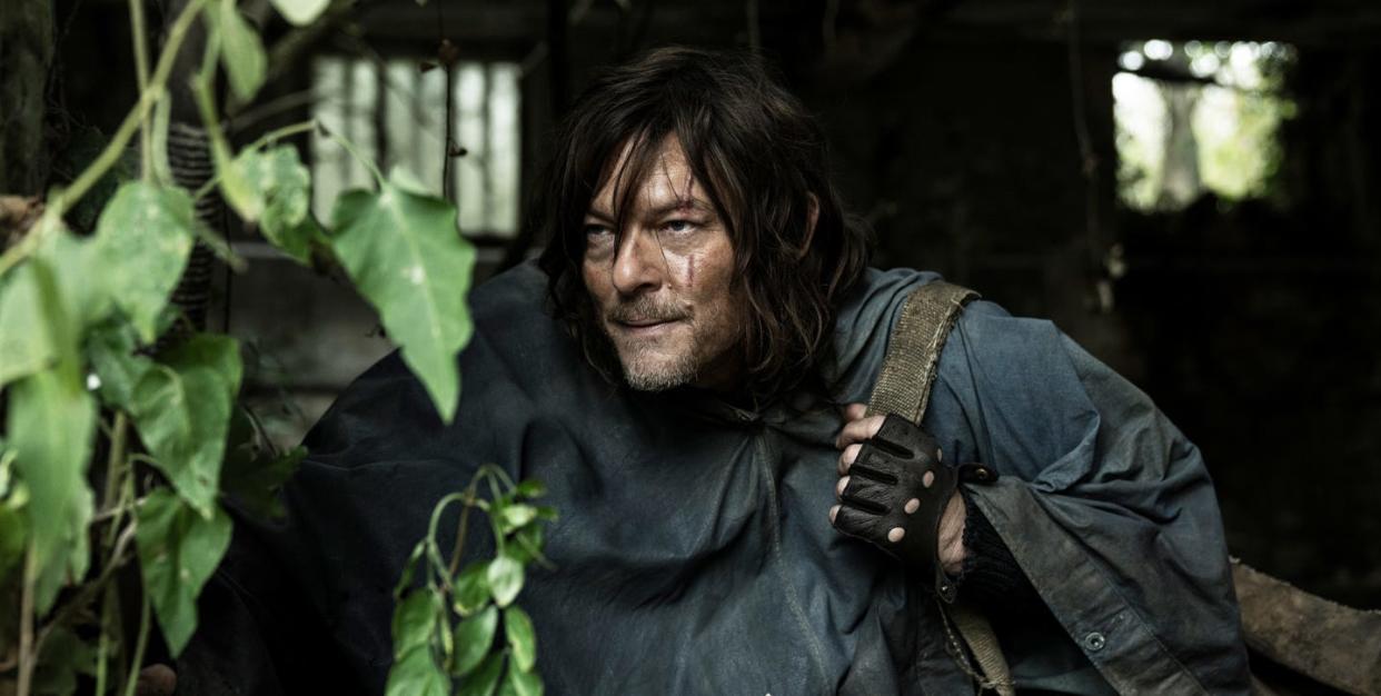 norman reedus as daryl dixon, the walking dead daryl dixon