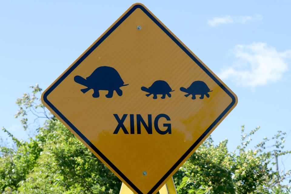 A turtle crossing sign installed by the Rockland County Highway Dept. on Western Highway in West Nyack May 21, 2019.