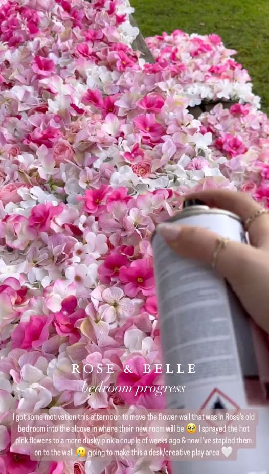 stacey solomon spray painting flowers