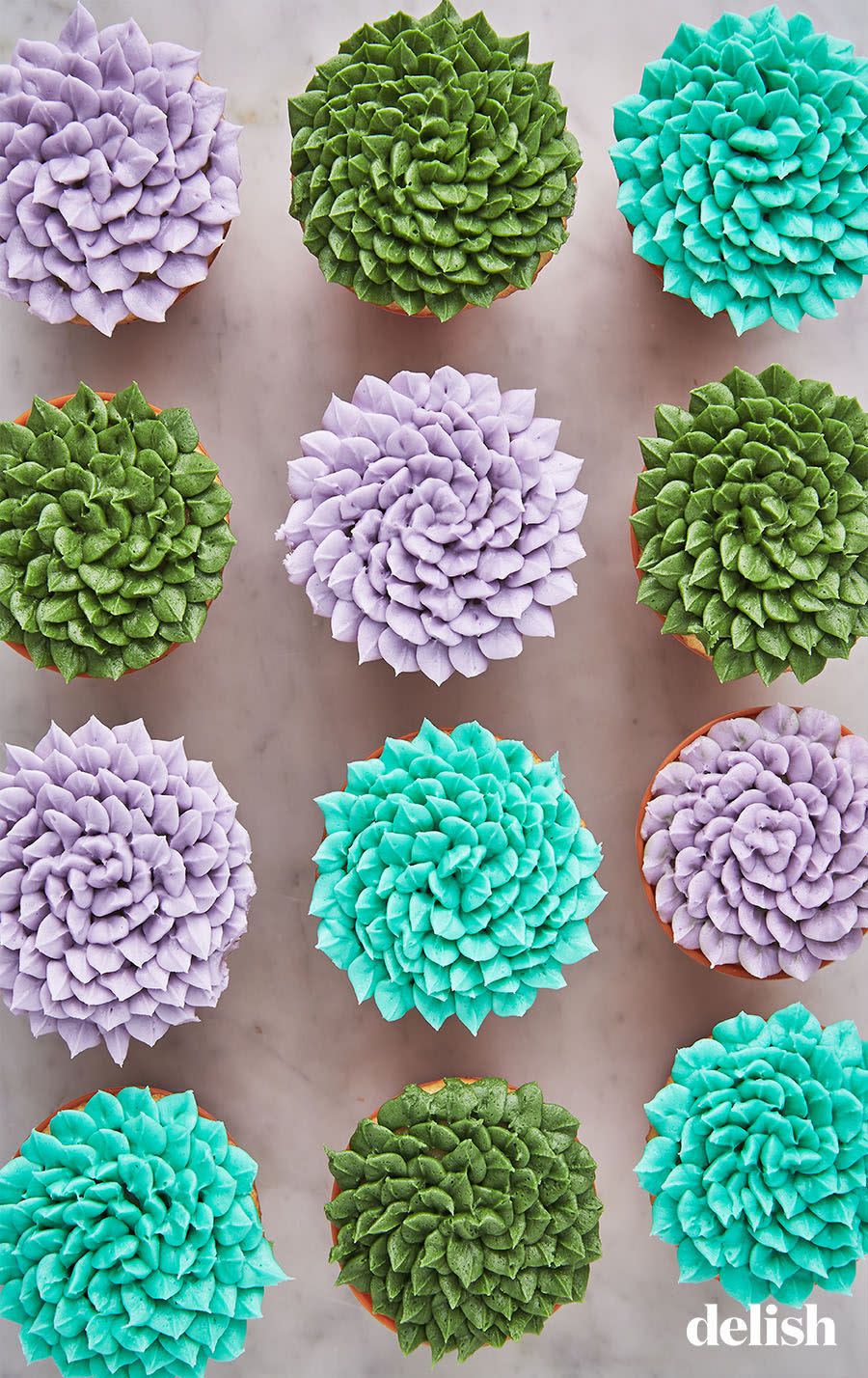 Succulent Cupcakes