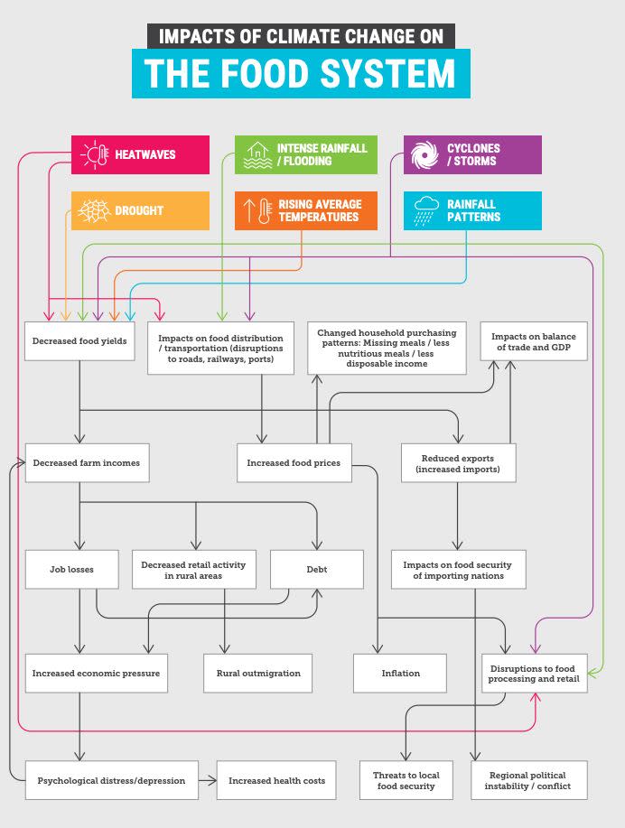 The impacts of climate change on the food system. Source: Climate Council