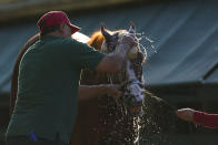 Guadalupe Guerrero gives Preakness hopeful Ram a bath after a morning exercise at Pimlico Race Course ahead of the Preakness Stakes horse race, Tuesday, May 11, 2021, in Baltimore. (AP Photo/Julio Cortez)