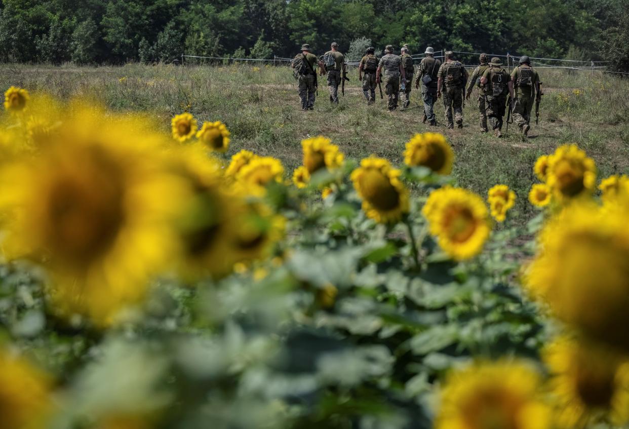 Sappers of 128th separate territorial defence brigade of the Armed Forces of Ukraine take part in a training, amid Russia's attack on Ukraine, in Donetsk region (REUTERS)