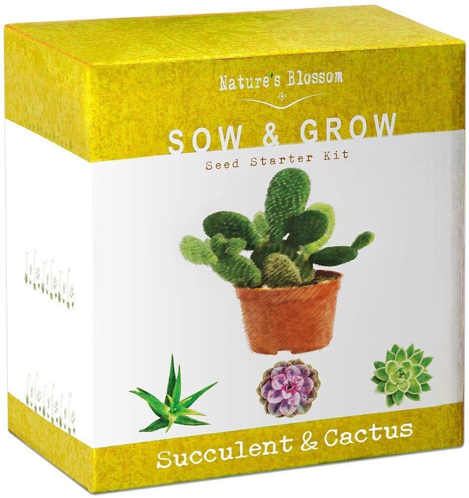 Nature’s Blossom Succulent & Cactus Grow Kit