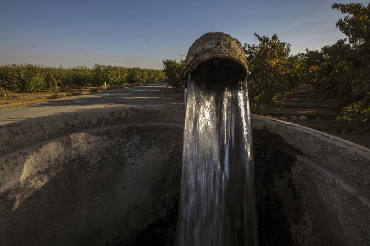 Water flows from a well to irrigate an orchard near Visalia in 2021.