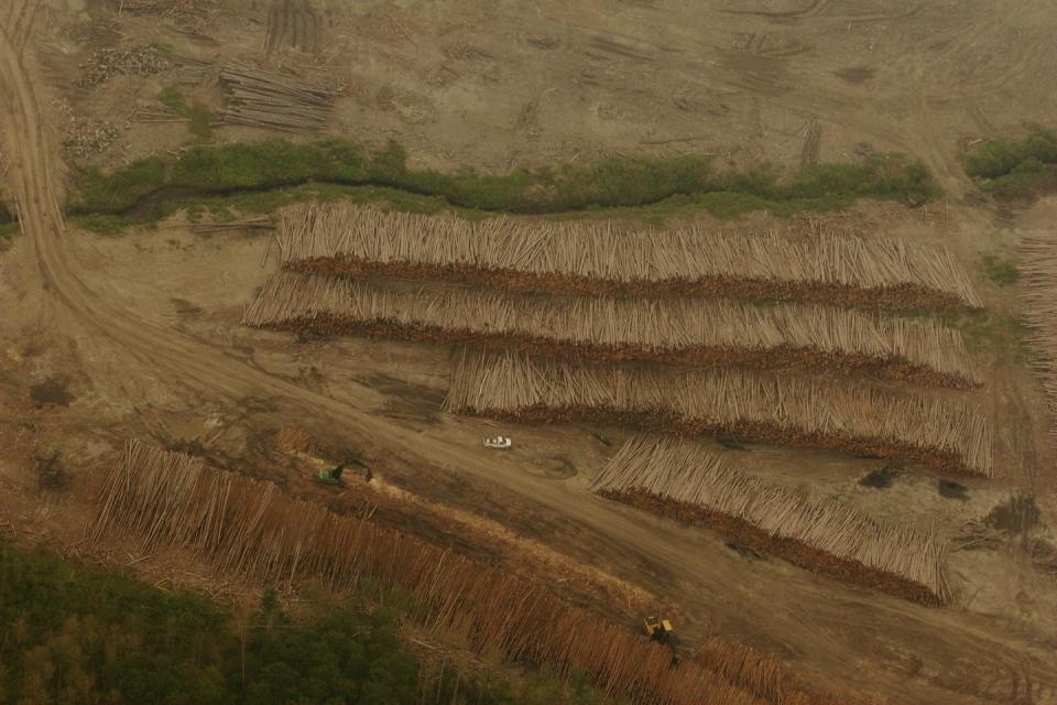 stacks of logs are piled up on a barren landscape