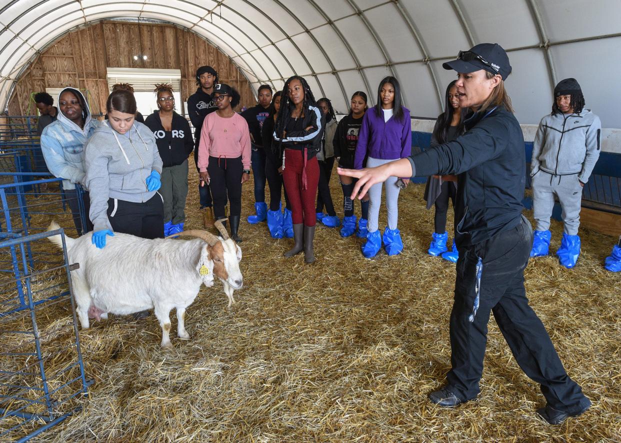 Dr. Kimberly Braxton, right, the interim founding dean at the University of Maryland-Eastern Shore's vet school, talks to students about goats being born on the campus' farm.