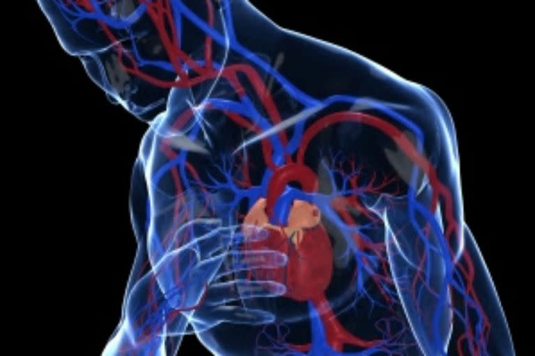 Cinco de cada diez argentinos ignora tener problemas cardiovasculares