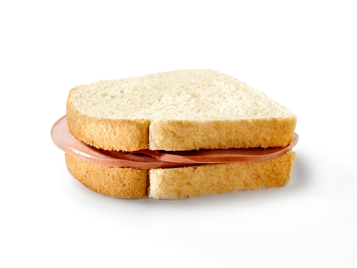 Plain Bologna Sandwich -Photographed on Hasselblad H3D-39mb Camera