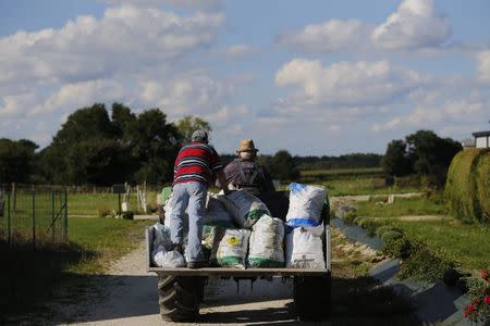 French farmers drive their tractor as they harvest potatoes in a field near Molac, central Brittany, France, September 1, 2015. REUTERS/Stephane Mahe