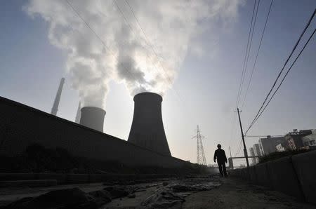 A man walks past a coal-burning power plant in Xiangfan, Hubei province November 19, 2010. REUTERS/Stringer