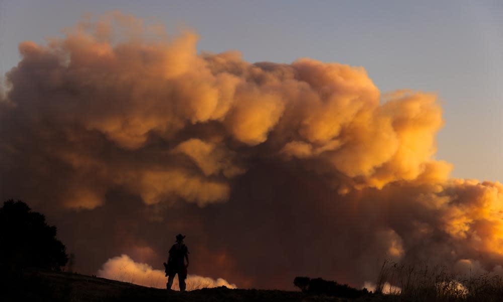 <span>Photograph: Xinhua/REX/Shutterstock</span>