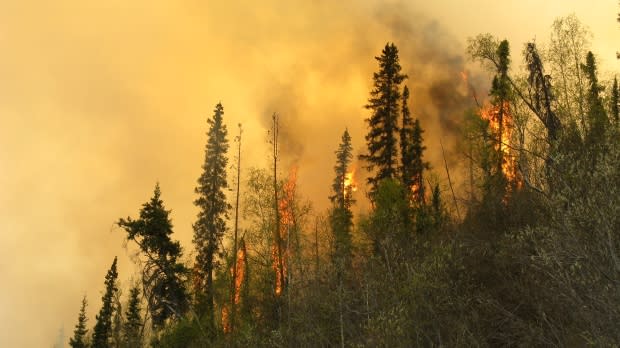 Andreas Pohle/Yukon Wildland Fire Services