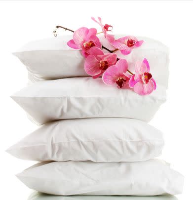Ludgershall set of two down alternative pillows (20% off)