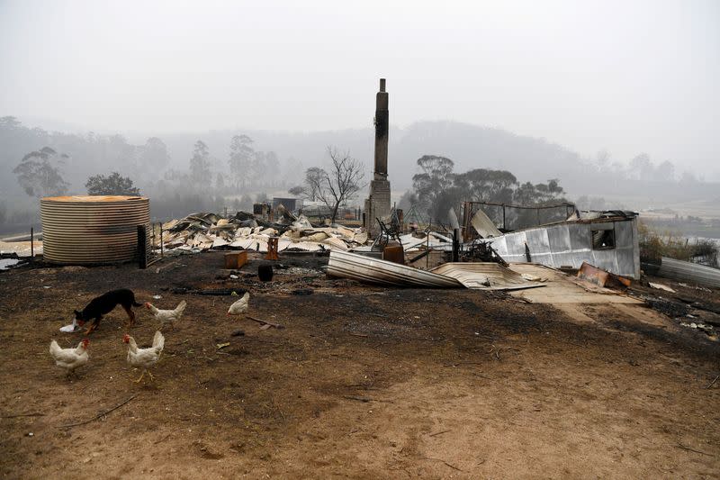 Bushfires in Kiah, Australia