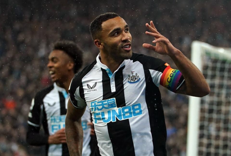 Callum Wilson celebrates scoring from the spot (Mike Egerton/PA) (PA Wire)