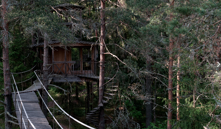 Casa en el árbol