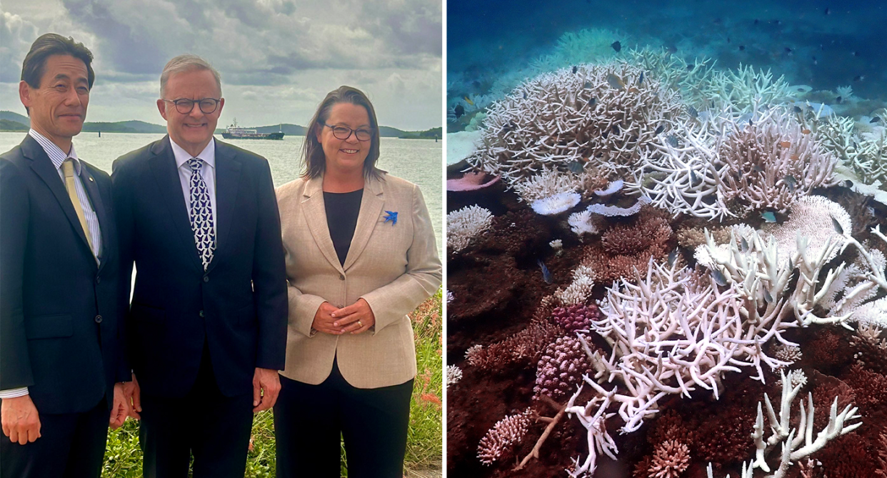 Madeleine King, the Prime Minister, and a business man standing in front of water at Gladstone (left). Bleached coral in the Great Barrier Reef (right)