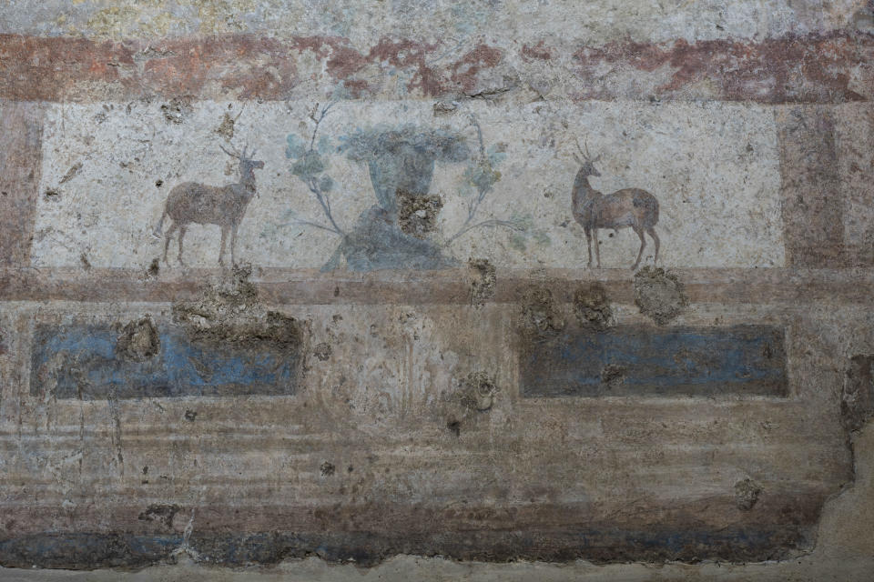 A detail of the frescoes coming from the sacellum, a small votive chapel, of a two-story home, or "Domus," dating from around 134-138 AD that was partially destroyed to make way for the construction of the Caracalla public baths, which opened in 216 AD, are on display at the Caracalla archaeological park in Rome, Thursday, June 23, 2022. The frescoed ceiling and walls of a domestic temple honoring Greco-Roman and Egyptian religious deities and believed to have belonged to a wealthy merchant family were first discovered in the mid-19th century about 10 meters (yards) underneath the current ground level of the baths, had been briefly exhibited but has been closed to the public for 30 years. (AP Photo/Domenico Stinellis)