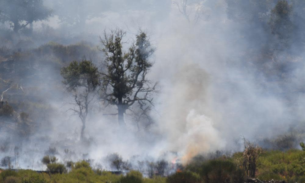 <span>Photograph: Salvatore Cavalli/AP</span>