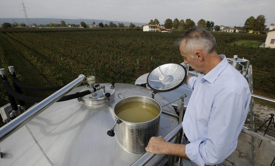 In this image taken on Monday, Oct. 15, 2018, wine grower Adelino Pizzobon opens a container of Prosecco wine, at the Case Paolin farm, in Volpago del Montello, Italy. Global sales of prosecco the smooth, drinkable sparkling wine rooted in the northeastern hills of Italy are booming, and champagne, the original bubbly, is taking note. (AP Photo/Luca Bruno)