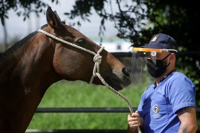 Outbreak of the coronavirus disease (COVID-19) in San Jose