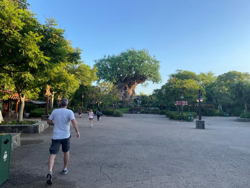 shot of people walking toward the tree of life at disney's animal kingdom theme park