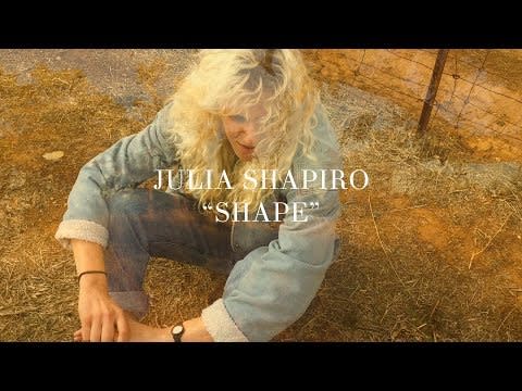 "Shape" by Julia Shapiro