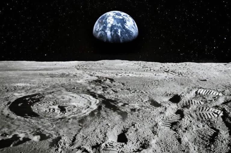 Una empresa australiana planea cultivar plantas en la luna para 2025