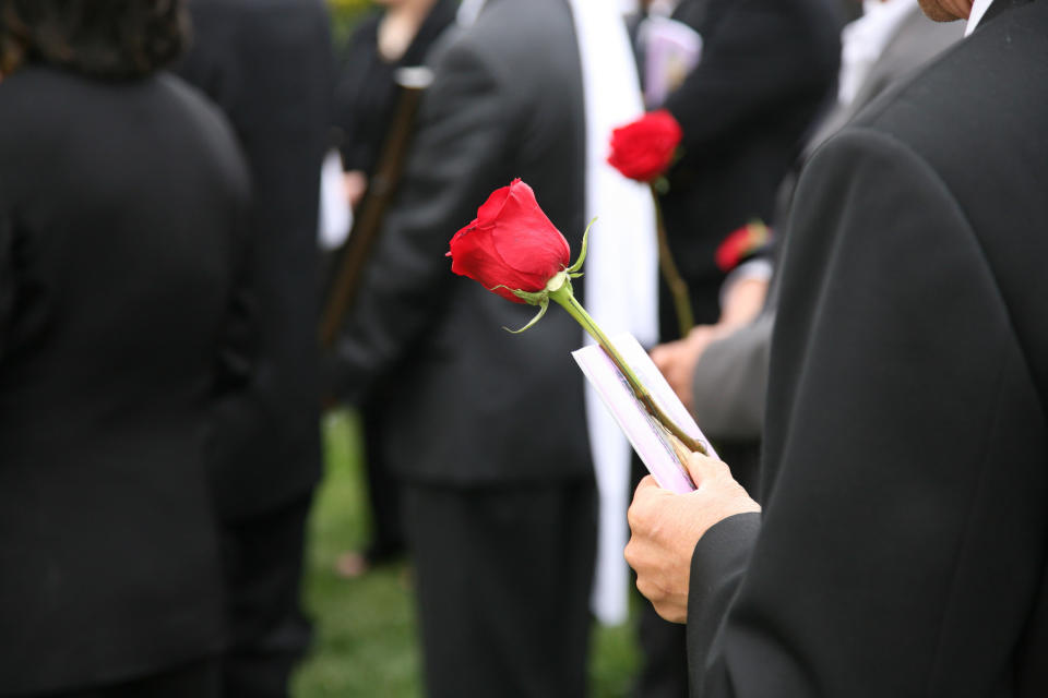 close up of someone holding a rose