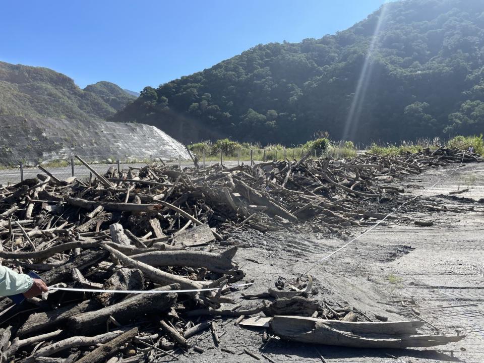 霧社水庫堆積許多漂流木。（圖／台電公司萬大發電廠提供）