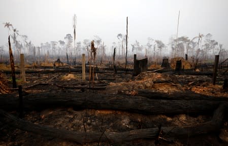 A tract of Amazon jungle is seen after a fire in Boca do Acre