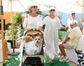 Bride Scruffy Rubin, a mixed Jack Russell and Chihuahua dog (front) owned by Ernie Rubin (left) of Palm Desert, and groom Snickers Carter (behind Scruffy), a Lhasa Apso owned by Ann Carter (center) of Palm Desert, were married during a dog wedding at Palm Desert Resort Country Club on Sunday April 22, 2012. The event benefits The Humane Society of the Desert. <br> (Photo courtesy Wade Byars/The Desert Sun) <br> <br> (Originally reported in <a href="http://www.mydesert.com/article/20120423/NEWS01/204230322/Wedded-bliss-gone-dogs?odyssey=tab|topnews|text|Frontpage" rel="nofollow noopener" target="_blank" data-ylk="slk:The Desert Sun;elm:context_link;itc:0;sec:content-canvas" class="link ">The Desert Sun</a>)