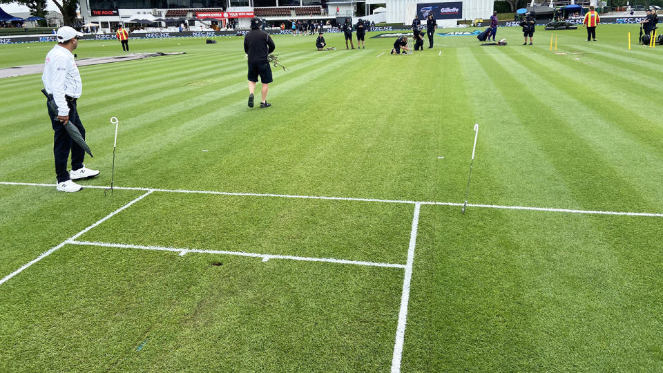 The pitch at Seddon Park, pictured here for the first Test between New Zealand and West Indies.