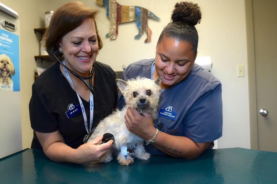 Dr. Merrijane Becker, associate veterinarian at Bartlesville Animal Hospital, and Megg Eastham, veterinarian tech assistant, perform a checkup on a dog at the clinic.