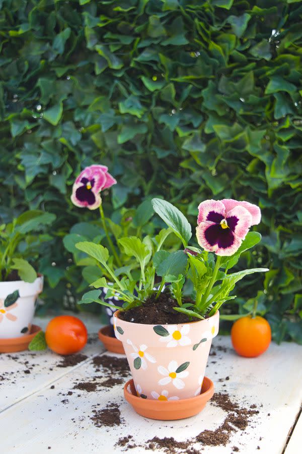 painted diy planters