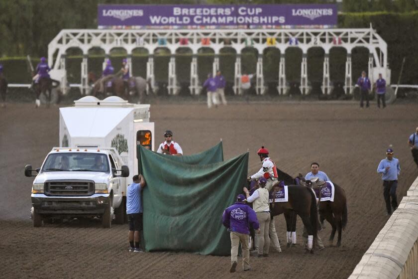 Track workers treat Mongolian Groom after the Breeders' Cup Classic horse race at Santa Anita Park, Saturday, Nov. 2, 2019, in Arcadia, Calif. The jockey eased him up near the eighth pole in the stretch. The on-call vet says he has "serious" injury to leg. Was taken to equine hospital on the grounds. (AP Photo/Mark J. Terrill)