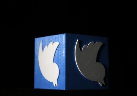 A 3D printed Twitter logo is seen in this illustration picture made in Zenica, Bosnia and Herzegovina, February 3, 2016. REUTERS/Dado Ruvic