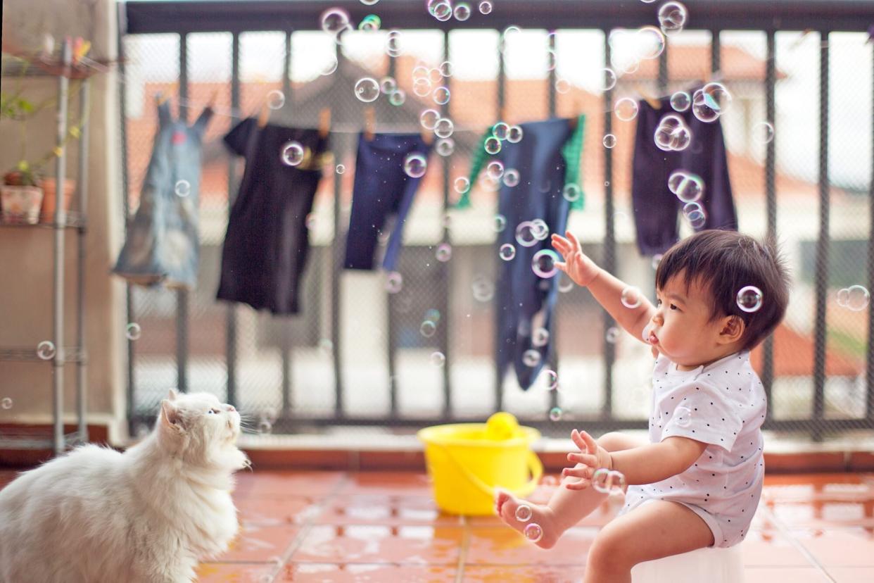 summer fun with toddler, bubbles, and his cat; summer cat names