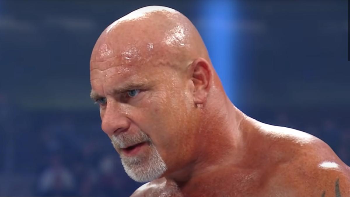 WWE star Goldberg gets tough in helping Texans in need