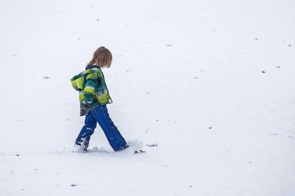 Adam Quinn walks in the snow in Rockwood Park after a couple of inches of snow dropped overnight in Wilmington, Saturday, Feb. 17, 2024.