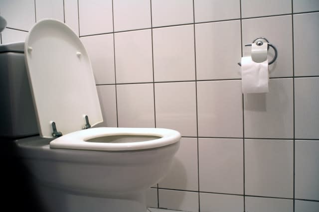 architectural detail shot of a house toilet